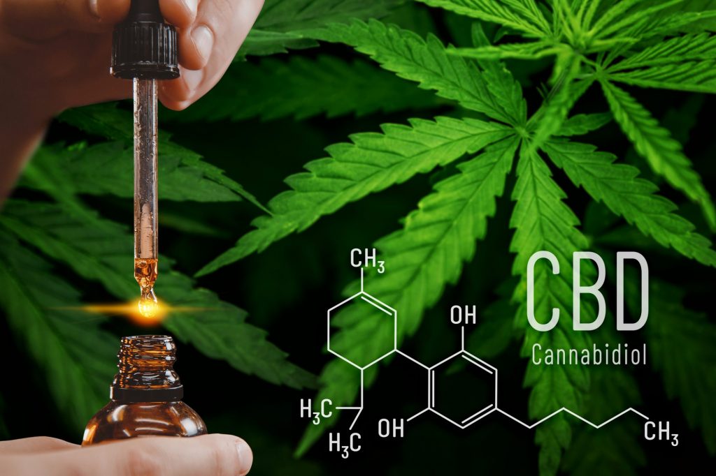 Cbd 1 1024x682