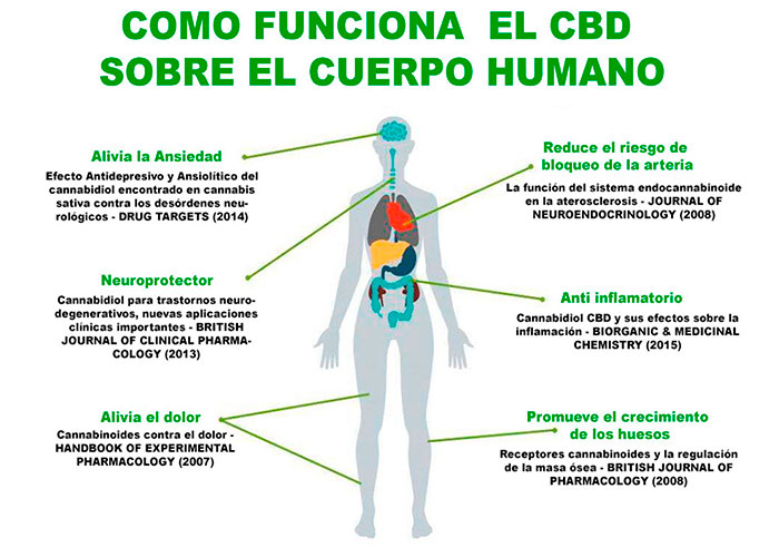 Como Salud Cbd