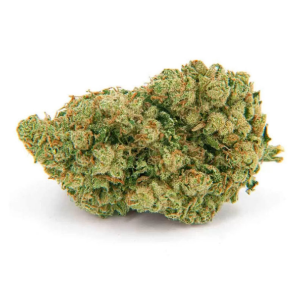 Amnesia-Hydro-600x600 AMNESIA CBD HYDRO