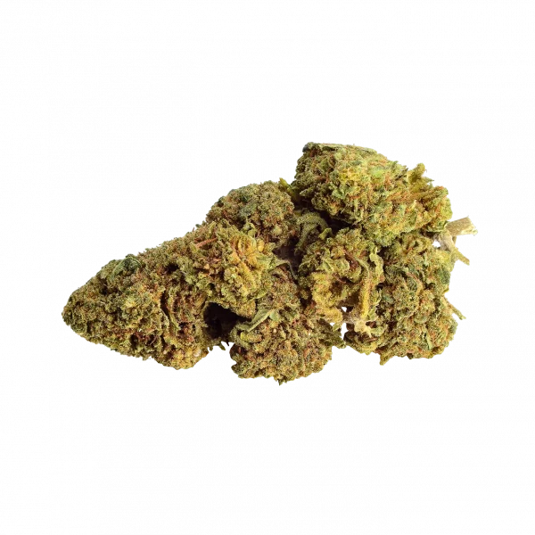 Gorilla-Glue-1-e1642512240152-600x600 (1) GORILLA GLUE CBD INDOOR PREMIUM