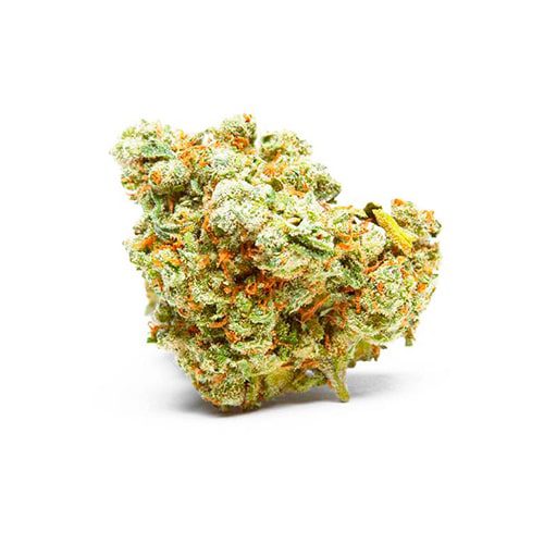 Lemon-HazeRob LEMON HAZE CBD INDOOR PREMIUM