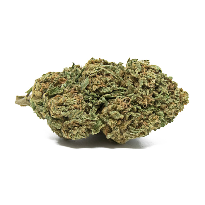 dreams berry glasshouse | cbd canarias dreams berry glasshouse | cbd canarias