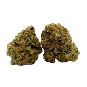 watermelon glasshouse | cbd canarias