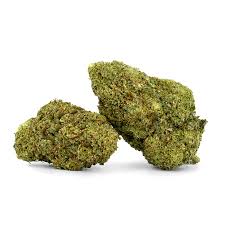 strawberry cbd glasshouse