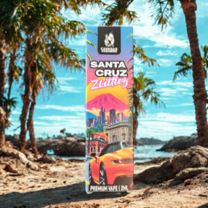 vaporizador 10 oh santacruz zkittlez (2ml)