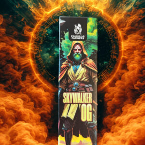 vaporizador 10 oh skywalker (2ml)