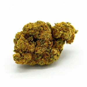 flor cheesecake indoor (50% hhx)